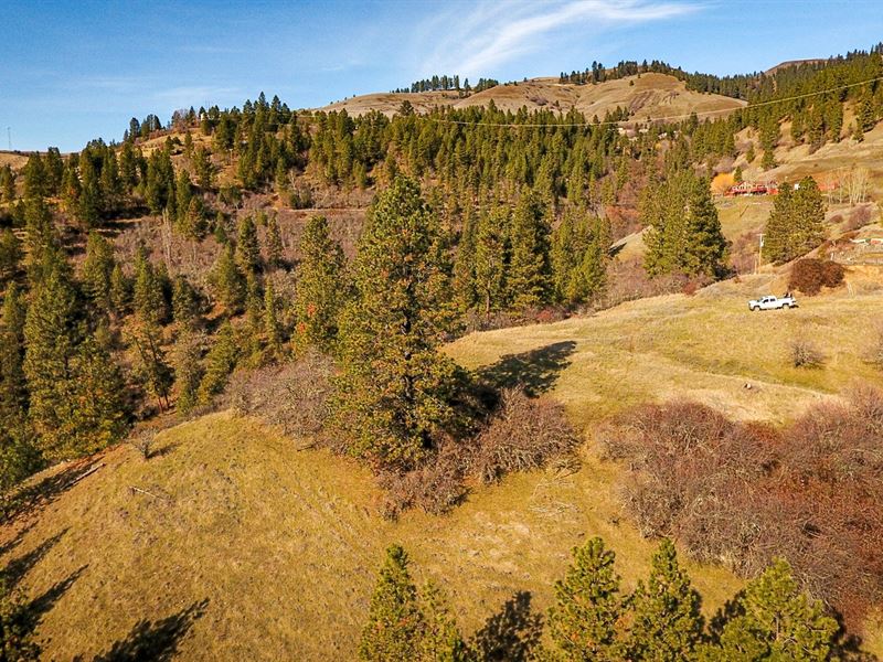 20 Acre Lot Along Clearwater River : Lenore : Clearwater County : Idaho