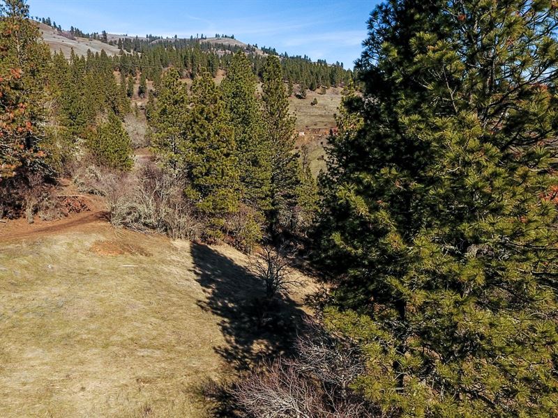 20 Acres Along Clearwater River : Lenore : Clearwater County : Idaho