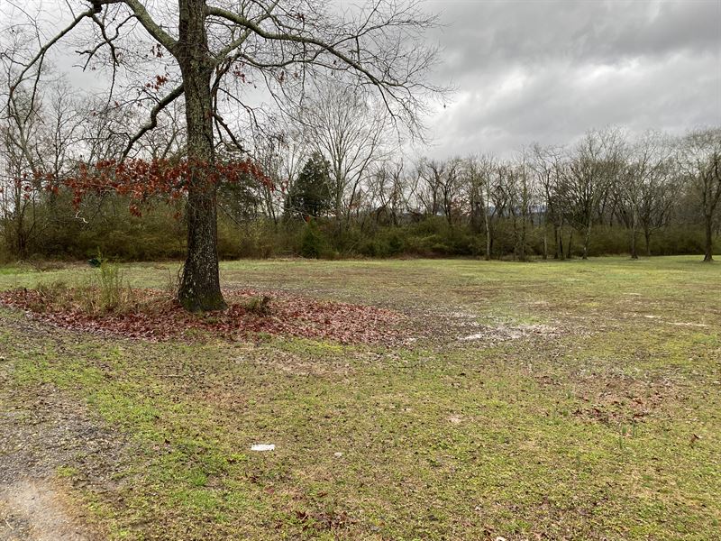 Building Site W/Rd Frontage : Stevenson : Jackson County : Alabama