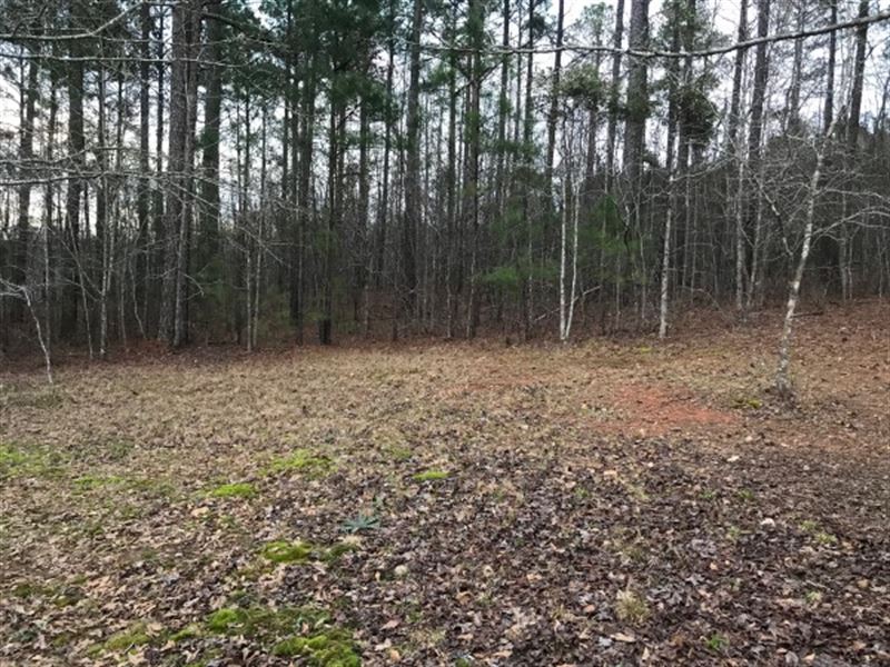 7.95 Acres, Fairfield County, SC : Ridgeway : Fairfield County : South Carolina