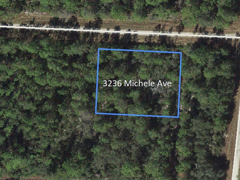 Double Lot in Lake Placid : Lake Placid : Highlands County : Florida