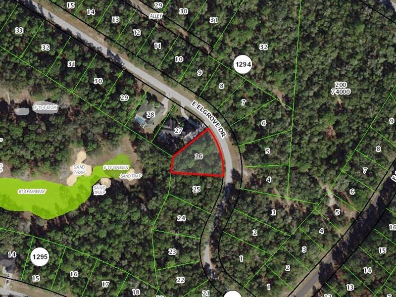 Beautiful Lot in Citrus Springs : Citrus Springs : Citrus County : Florida