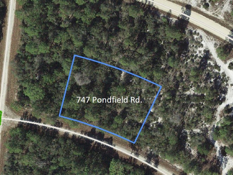 Room to Grow on This Double Lot : Lake Placid : Highlands County : Florida
