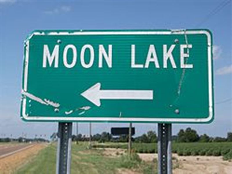 Moon Lake Waterfront Lot : Dundee : Coahoma County : Mississippi
