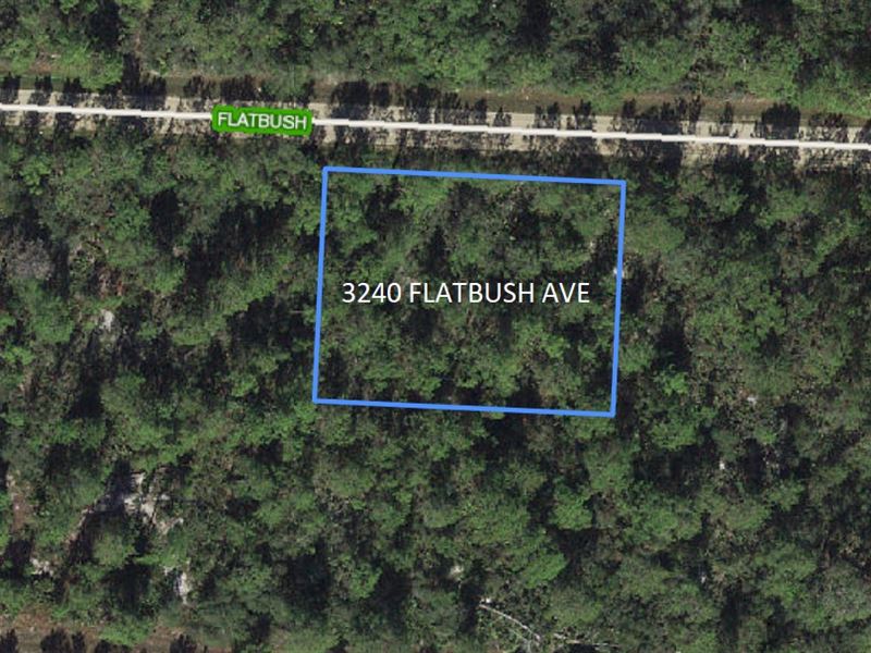 Double Lot .46 Acres, Lake Placid : Lake Placid : Highlands County : Florida