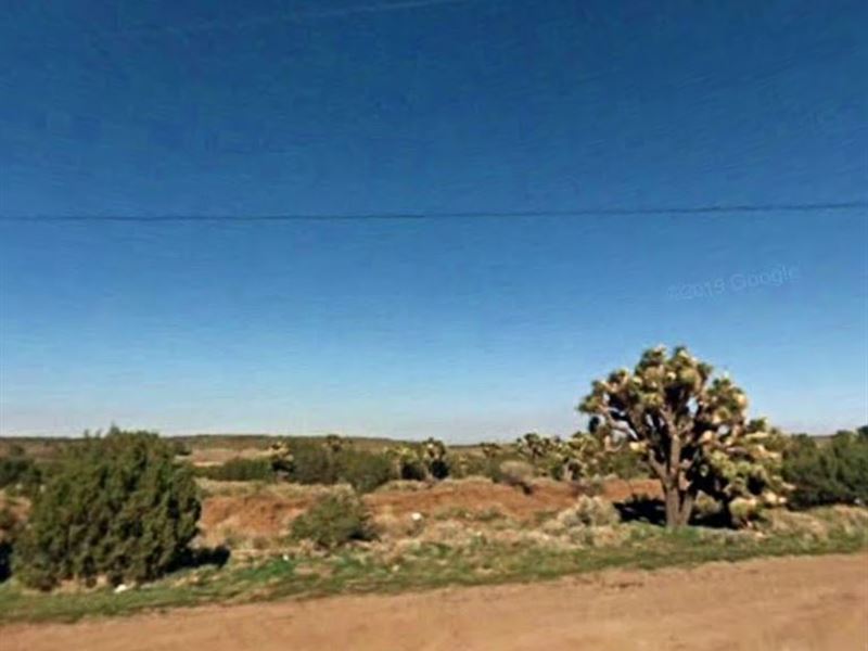Cleared Lot by Lake Palmdale No 352 : Palmdale : Los Angeles County : California