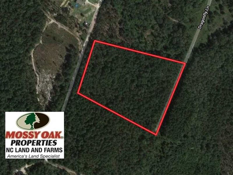 10.02 Acres : Sanford : Lee County : North Carolina