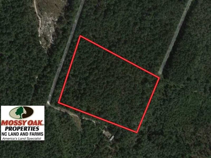 10.03 Acres of Residential Land Fo : Sanford : Lee County : North Carolina