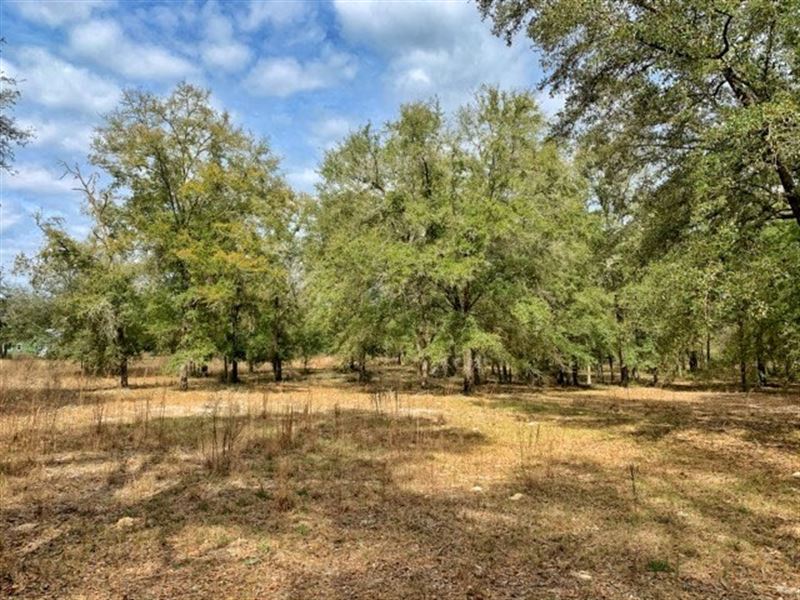 5 Acres High Springs, Gilchrist : High Springs : Gilchrist County : Florida