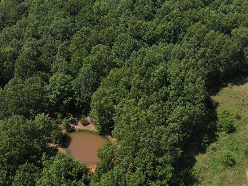 20 Acres Heart Missouri Ozarks West : West Plains : Howell County : Missouri