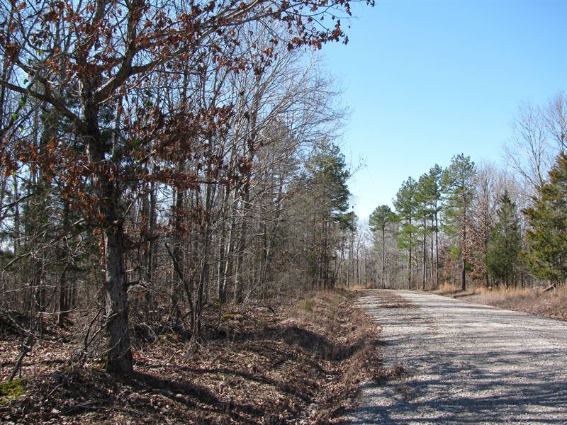 Country Building Lot, Tennessee : Bethel Springs : McNairy County : Tennessee