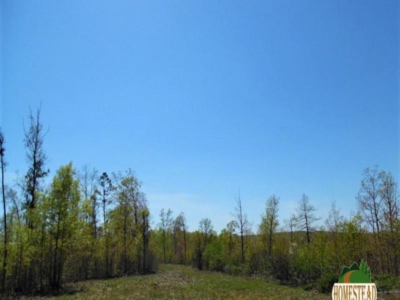 Wonderful Building Site : Jadwin : Dent County : Missouri