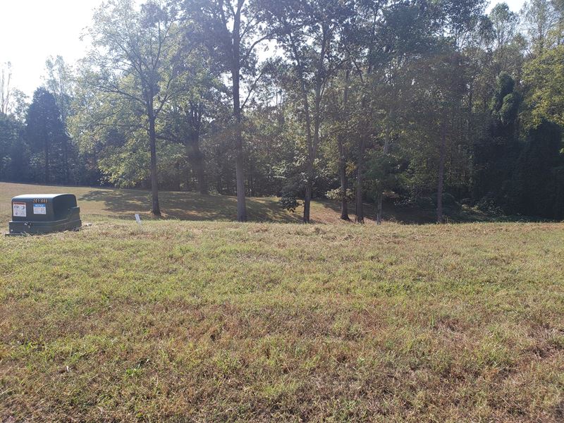 Partially Cleared, Level Lake Lot : Rutledge : Grainger County : Tennessee