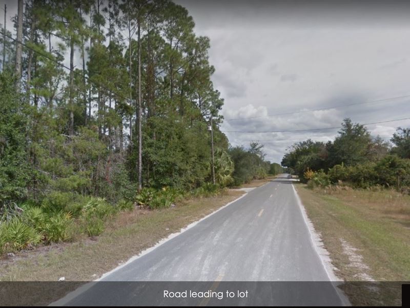 .5 Acres for Sale in Inglis, FL : Inglis : Citrus County : Florida