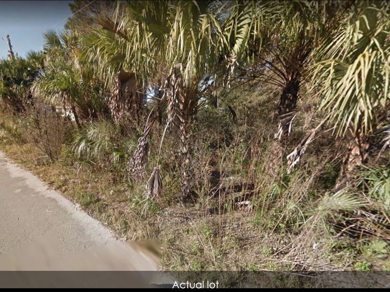 .25 Acres for Sale in Homosassa : Homosassa : Citrus County : Florida