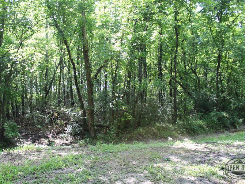 Spectacular 1.29 Acre Property : Cleveland : Liberty County : Texas
