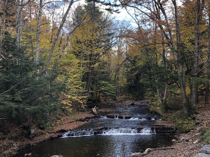 Prince Brook Fishing Camp Spot : Osceola : Lewis County : New York