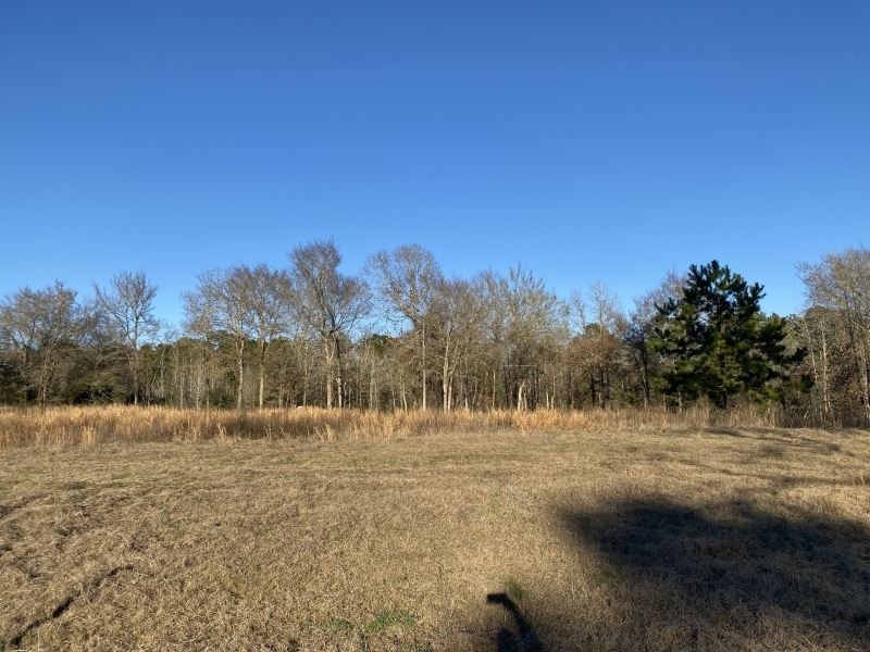 McCraw Hill : Montgomery : Montgomery County : Texas