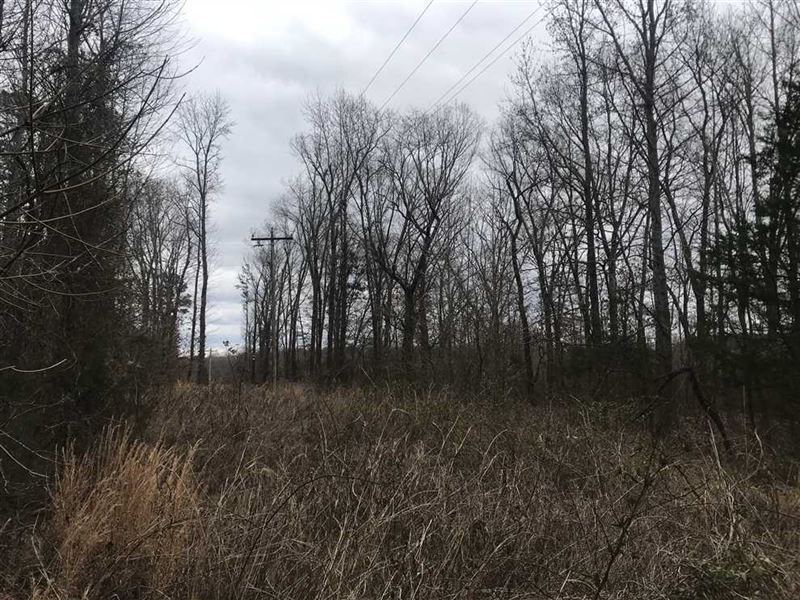 10 Acres of Woods Just West of Let : Letona : White County : Arkansas
