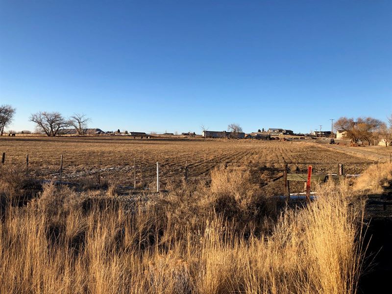 Agriculturally Zoned Lot, Montrose : Montrose : Montrose County : Colorado