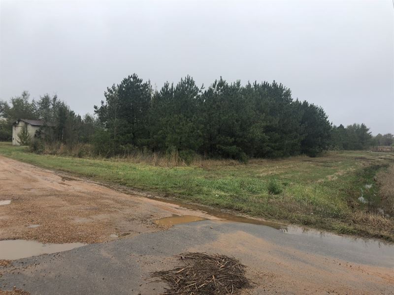 Land, S Church Ave, Louisville, MS : Louisville : Winston County : Mississippi