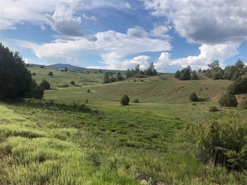 Land Chama West. Northern New : Chama : Rio Arriba County : New Mexico