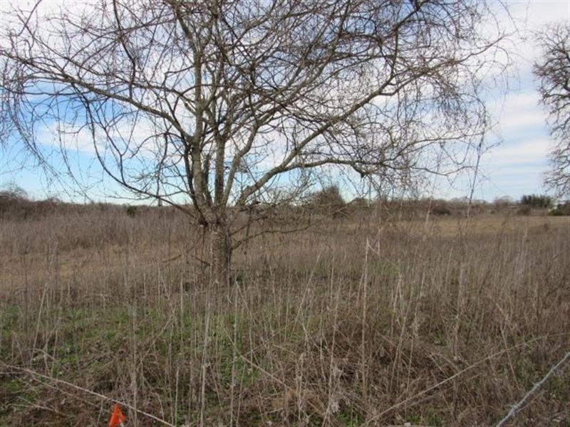 Vacant Residential Land To Build : Oakwood : Leon County : Texas