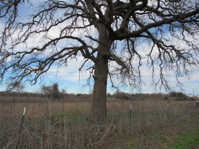 Vacant Residential Land To Build : Oakwood : Leon County : Texas
