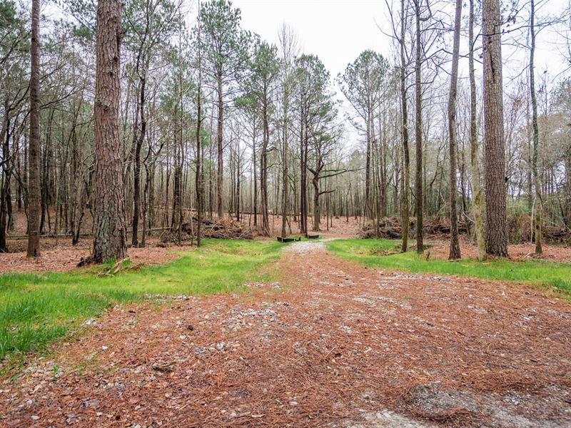 5 Acre Tract in Walton County : Monroe : Walton County : Georgia