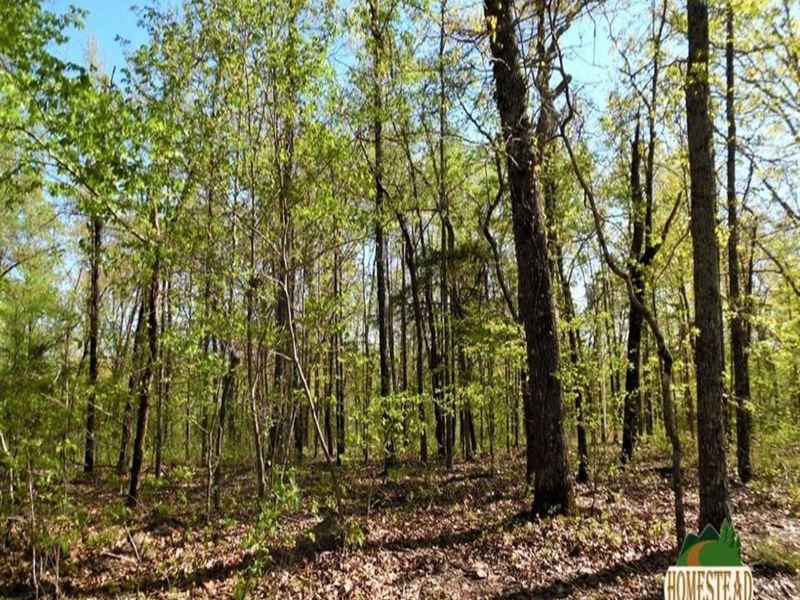 Building-Site with River Front : Tecumseh : Ozark County : Missouri