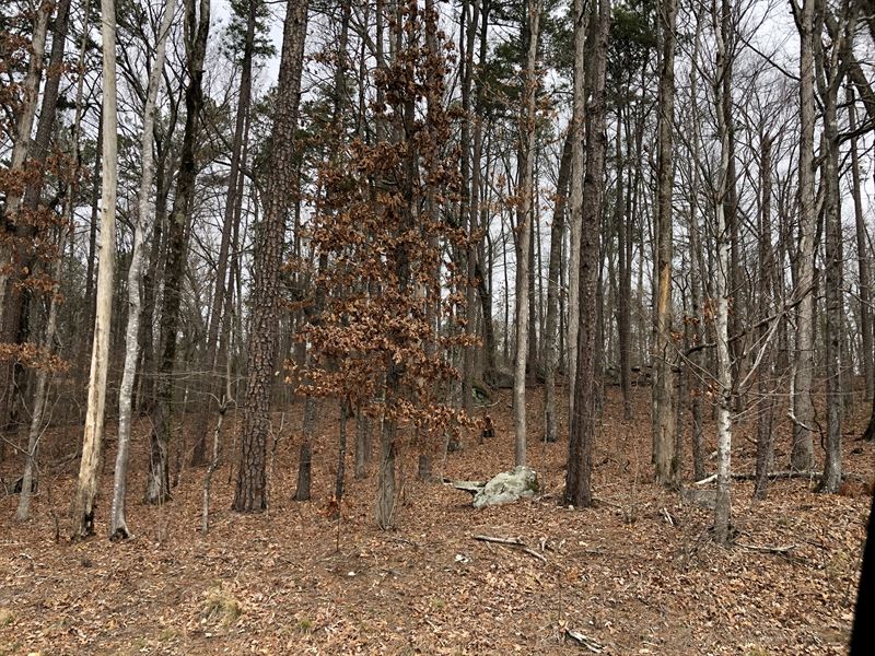 11.917+/- Wooded Acres Zoned R-2 : Temple : Paulding County : Georgia