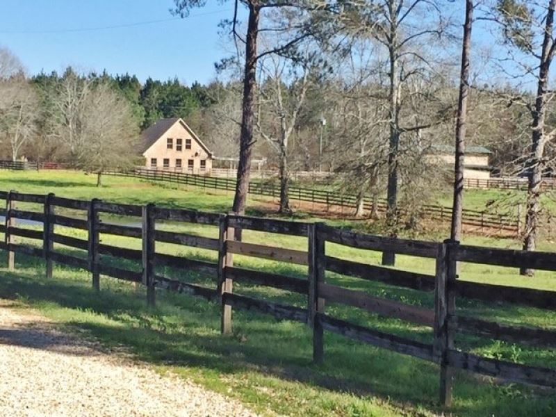 Horse Farm and Home : Mount Hermon : Washington Parish : Louisiana
