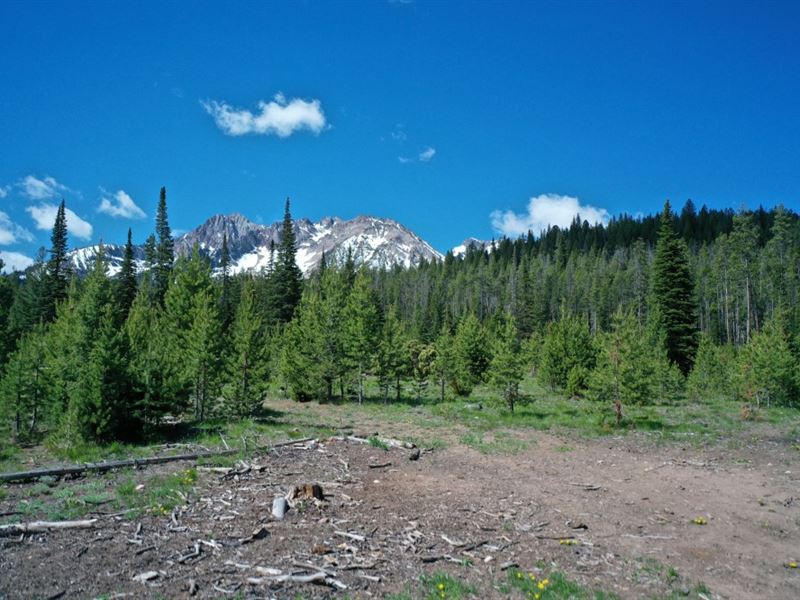 Sawtooth Mountain View Lot : Stanley : Custer County : Idaho