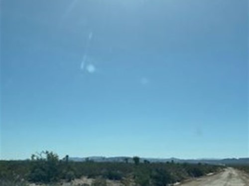 20 Acre Homesite, $0 Down, $198/Mo : Sierra Blanca : Hudspeth County : Texas