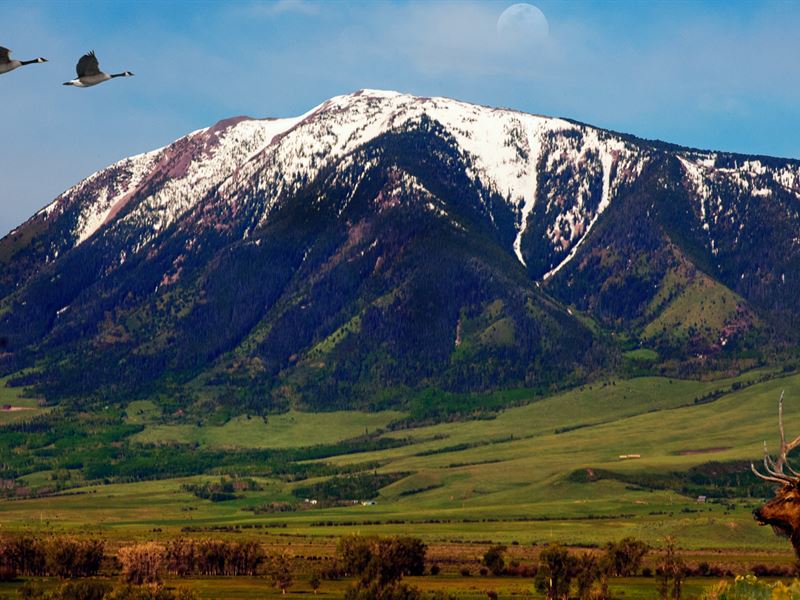 Lot, Paved Road & View of Elk Mtn : Elk Mountain : Carbon County : Wyoming