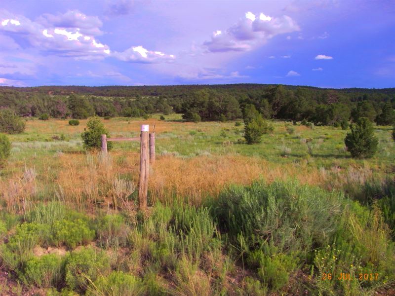 Candy Kitchen NM Panoramic Views : Pinehill : Cibola County : New Mexico