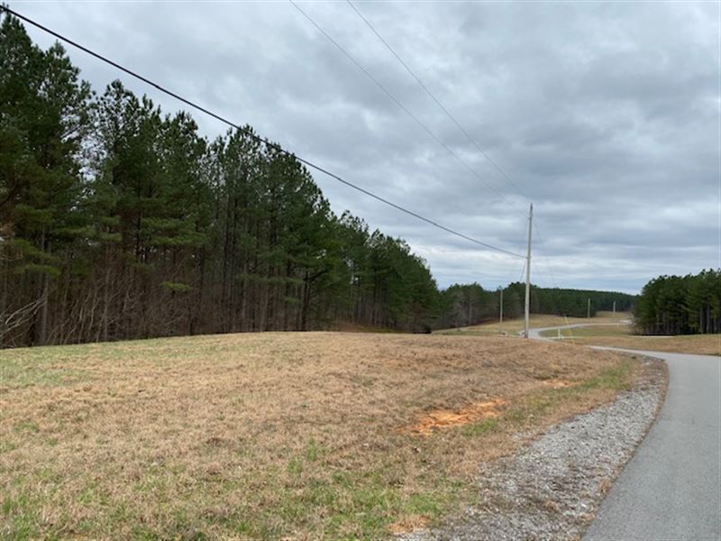 6.1+/- Acres Located in The Ridges : South Pittsburg : Marion County : Tennessee