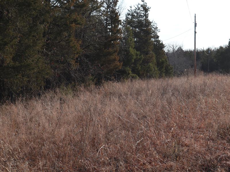 Vacant Land Near Lake Norfork in AR : Norfork : Baxter County : Arkansas