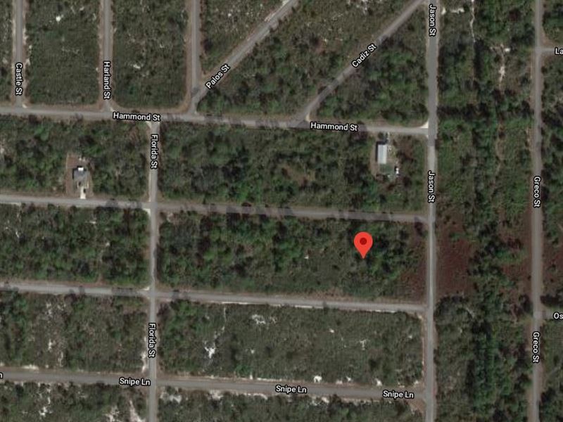 Lot Close to State Parks : Lake Placid : Highlands County : Florida