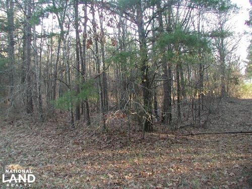 7 Acres Pine Hill Ln : Terry : Hinds County : Mississippi