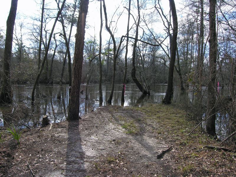 Reduced, 3 Ac, Cabin, Brier Creek : Keysville : Burke County : Georgia