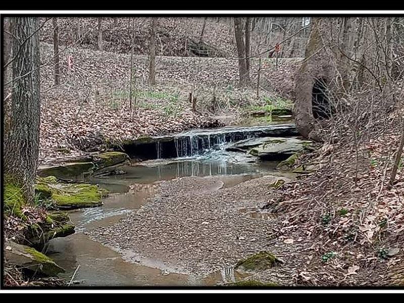 Acreage with Tranquil Stream : Columbia : Meigs County : Ohio
