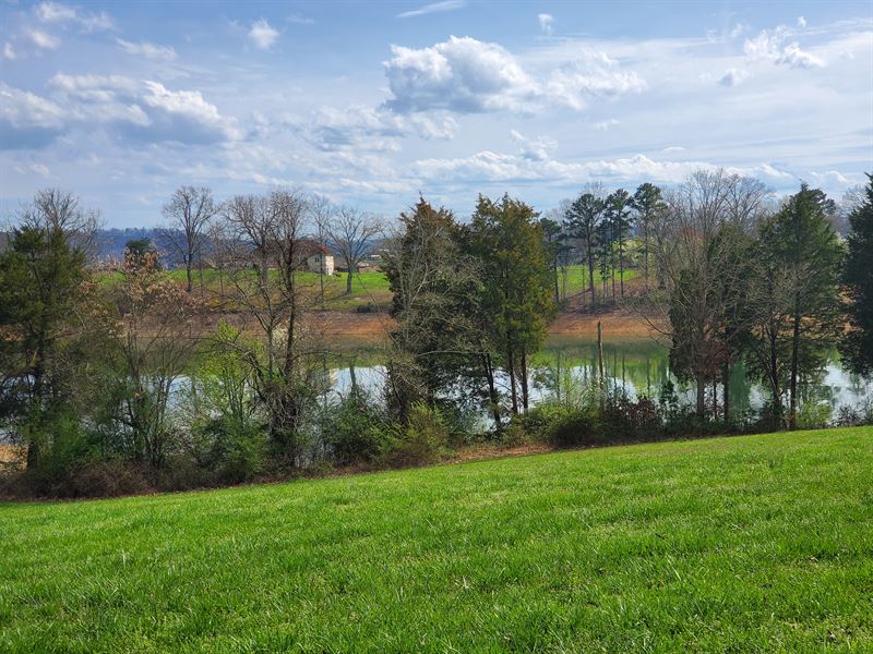 Cleared, Level Cherokee Lakefront : Rutledge : Grainger County : Tennessee