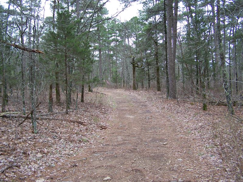 Wooded Acreage In Ozark Mountains : Leslie : Searcy County : Arkansas