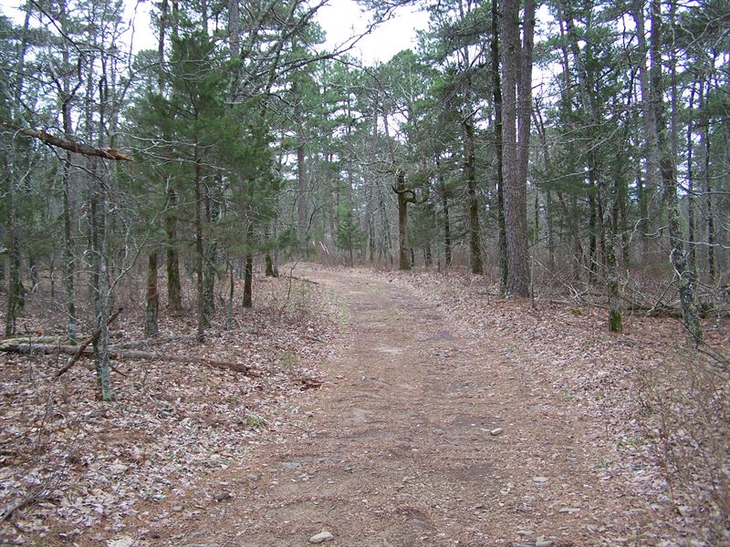 Wooded Acreage in Ozark Mountains : Leslie : Searcy County : Arkansas