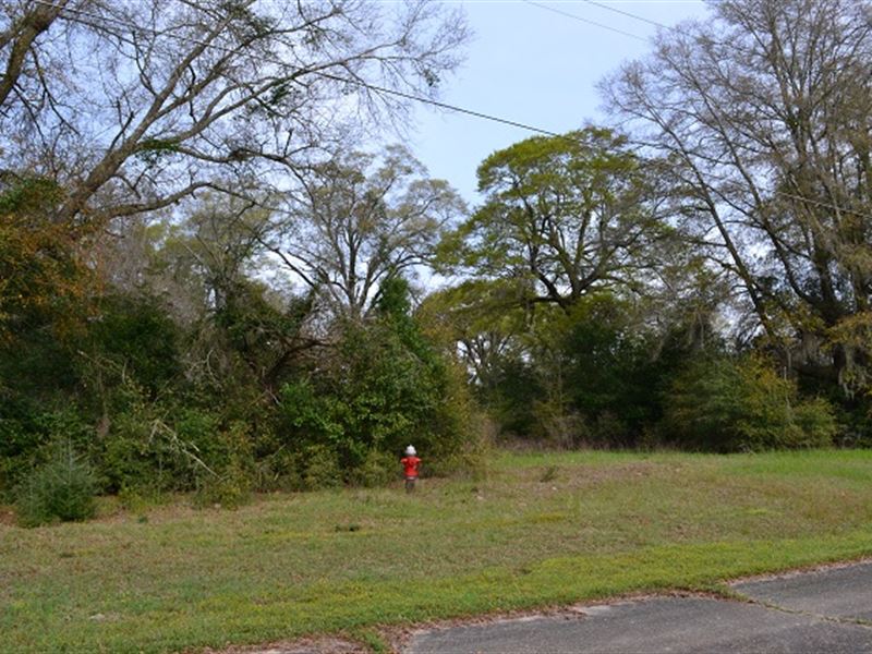 Moss Oaks Tract : Perry : Houston County : Georgia