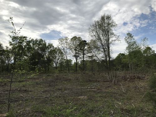 Darby Tract : Eastover : Richland County : South Carolina