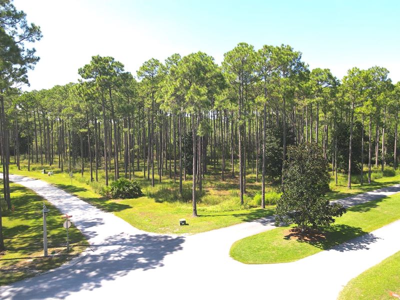 Vacant Lot in Gated Community, Riv : Panama City Beach : Bay County : Florida