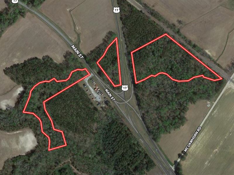 13.6 Acres of Tim : Vanceboro : Craven County : North Carolina
