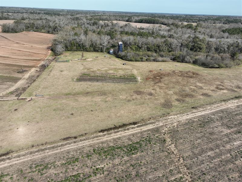 3 Acre Homesite Opportunity in Hous : Dothan : Houston County : Alabama